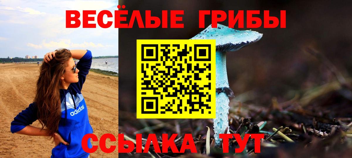 Псилоцибиновые грибы Cubensis  Вход с VPN  Большой Камень 