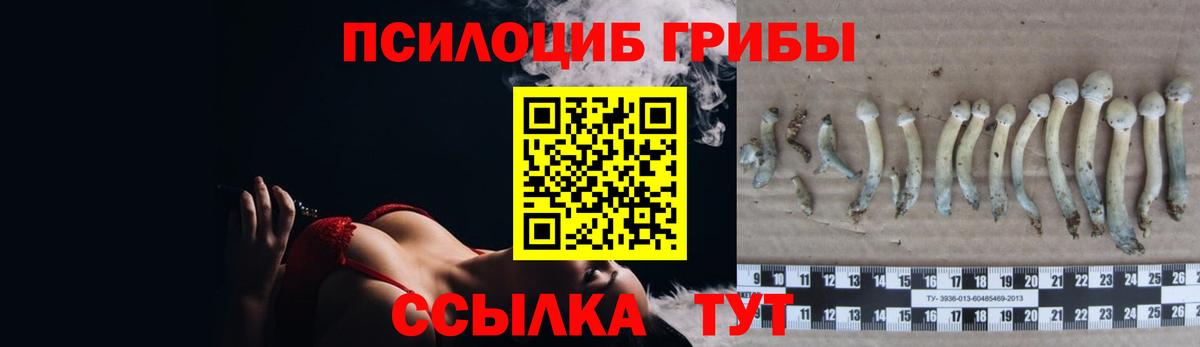 Галлюциногенные грибы мицелий Большой Камень
